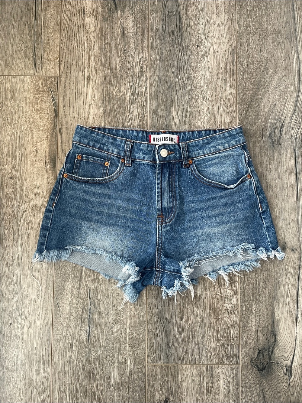 Disclosure Women's Mid-Rise Frayed Hem Denim Shorts in Blue